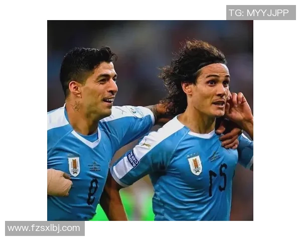 乌拉圭足球历史顶尖球员排名及成就一览