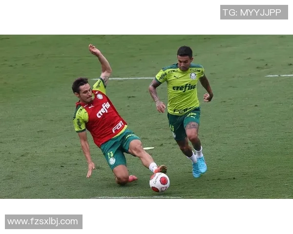 如何正确存放球星足球鞋以延长其使用寿命与保持性能 如何正确存放球星足球鞋以延长其使用寿命与保持性能