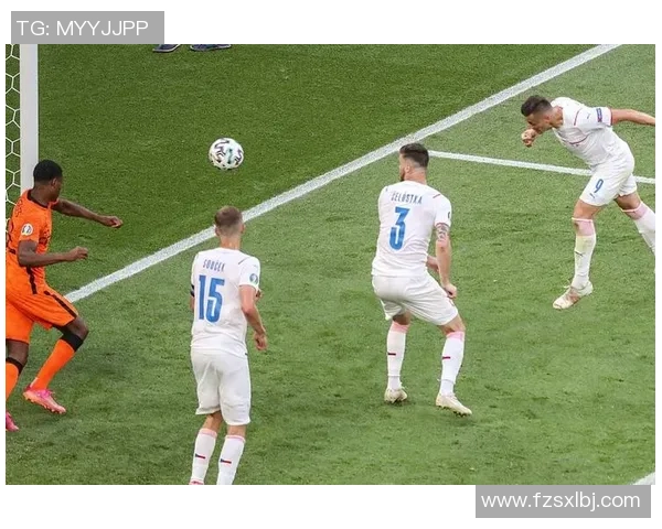 捷克足球球星赛场突发晕倒送医 生命体征稳定情况引关注